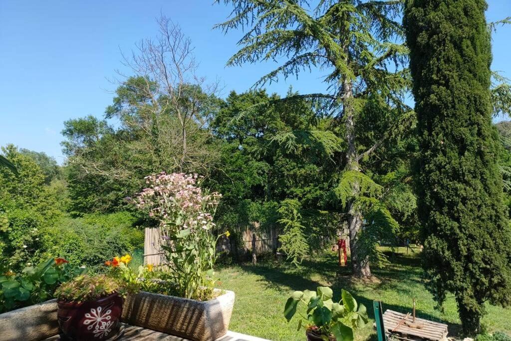 La Bastide, Au Coeur De La Provence Ferienhaus Sainte-Anastasie-sur-Issole